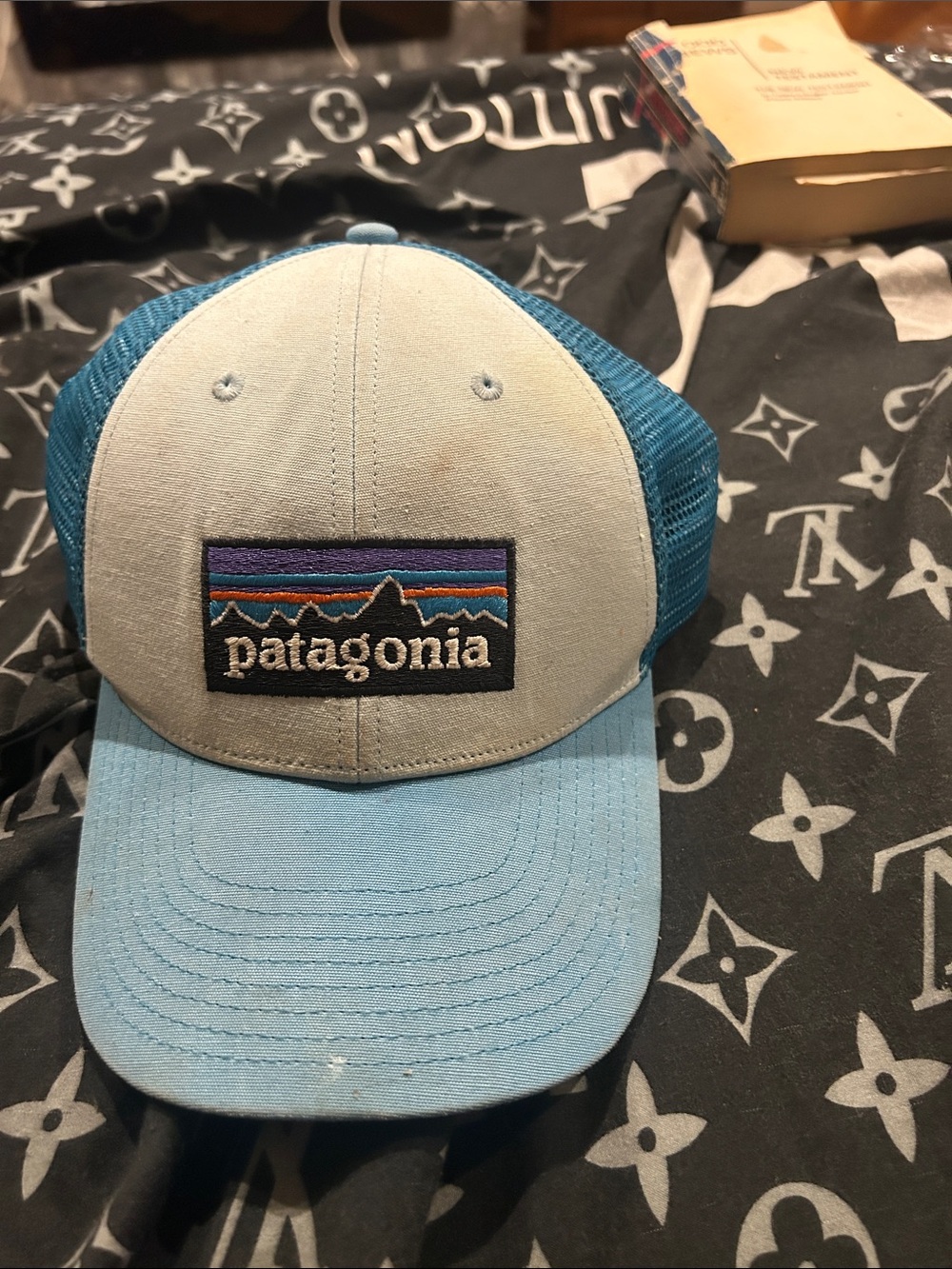 Patagonia Blue and Teal Mesh Trucker Hat